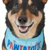 Frisco Pawtriot Dog & Cat Bandana -Dog Cat Corner 191277 Main. SY630 V1584623866