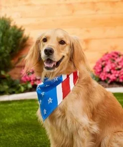 Frisco Stars & Stripes Dog & Cat Bandana -Dog Cat Corner 191288 PT4. SY630 V1632423083