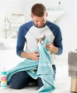 Frisco Shed Control Dog & Cat Shampoo, Sweet Nectar Scent -Dog Cat Corner 192070 PT4. SY630 V1589487674