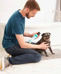 Frisco Aloe Hydrating Dog & Cat Spray, Sweet Nectar Scent 8 Frisco Aloe Hydrating Dog & Cat Spray, Sweet Nectar Scent -Dog Cat Corner 192084 PT3. SY630 V1585321073