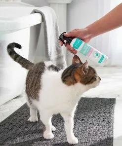 Frisco Aloe Hydrating Dog & Cat Spray, Sweet Nectar Scent 9 Frisco Aloe Hydrating Dog & Cat Spray, Sweet Nectar Scent -Dog Cat Corner 192084 PT4. SY630 V1589487682