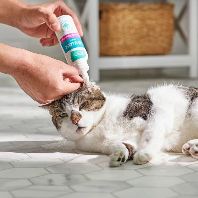 Frisco Cat Ear Cleaner 5 Frisco Cat Ear Cleaner - Image 3