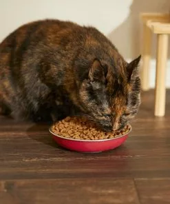 Frisco Heavy Duty Non-Skid Saucer Cat Bowl -Dog Cat Corner 204461 PT6. SY630 V1599082292