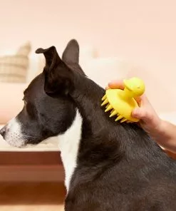 Frisco Rubber Duckie Dog & Cat Curry Brush -Dog Cat Corner 206849 PT7. SY630 V1600915945
