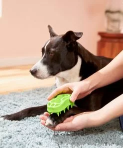 Frisco Bone Dog Curry Brush -Dog Cat Corner 206851 PT8. SY630 V1600915961