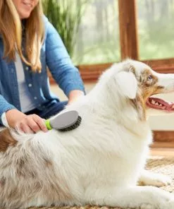 Frisco Cat & Dog Bristle Brush, One-Size 7 Frisco Cat & Dog Bristle Brush, One-Size -Dog Cat Corner 206859 PT8. SY630 V1600915880