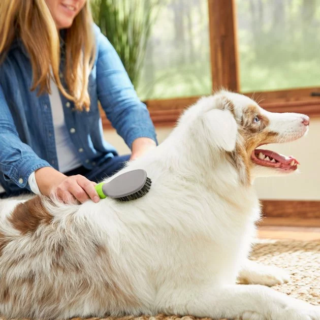 Frisco Cat & Dog Bristle Brush, One-Size 5 Frisco Cat & Dog Bristle Brush, One-Size - Image 3