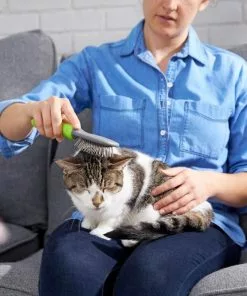 Frisco Cat & Dog Pin Brush, One-Size -Dog Cat Corner 206861 PT8. SY630 V1600915974