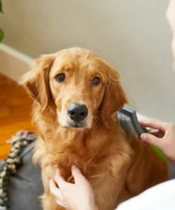 Frisco Self-Cleaning Slicker Dog Brush -Dog Cat Corner 206863 PT8. SY630 V1600915991