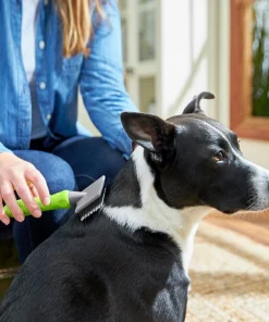 Frisco Soft Slicker Dog Brush, One Size -Dog Cat Corner 206869 PT8. SY630 V1600915932