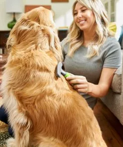 Frisco Shedding Rake Dog & Cat Brush -Dog Cat Corner 206871 PT8. SY630 V1600915978