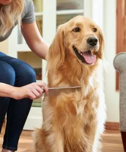 Frisco Metal Dog & Cat Comb 8 Frisco Metal Dog & Cat Comb -Dog Cat Corner 206882 PT7. SY630 V1600915920