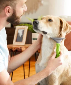 Frisco Deshedding Dog & Cat Brush -Dog Cat Corner 206890 PT7. SY630 V1600915870