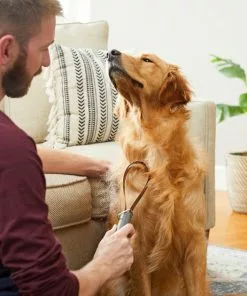 Frisco Shedding Blade Dog Brush, One Size -Dog Cat Corner 206895 PT8. SY630 V1600915985