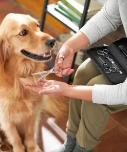 Frisco Dog & Cat Grooming Shears Kit -Dog Cat Corner 206903 PT4. SY630 V1604009923