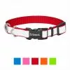 Frisco Solid Polyester Reflective Dog Collar -Dog Cat Corner 212775 MAIN. SY630 V1619125939