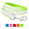 Frisco Solid Polyester Reflective Dog Leash -Dog Cat Corner 212812 MAIN. SY630 V1619049473