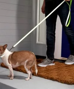 Frisco Solid Polyester Reflective Dog Leash -Dog Cat Corner 212812 PT4. SY630 V1581114493