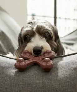 Frisco Bacon Flavor Tough Nylon Dog Chew Toy 7 Frisco Bacon Flavor Tough Nylon Dog Chew Toy -Dog Cat Corner 213429 PT2. SY630 V1581715680