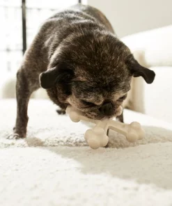 Frisco Chicken Flavor Tough Nylon Dog Chew Toy -Dog Cat Corner 213432 PT2. SY630 V1581715692