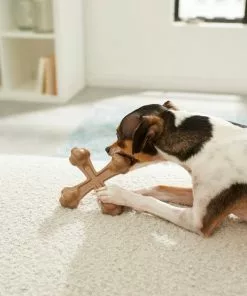 Frisco Peanut Butter Flavor Tough Nylon Dog Chew Toy 7 Frisco Peanut Butter Flavor Tough Nylon Dog Chew Toy -Dog Cat Corner 213435 PT2. SY630 V1581715702