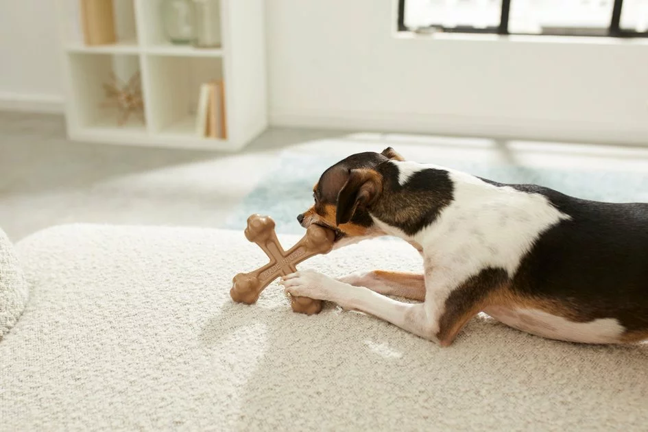 Frisco Peanut Butter Flavor Tough Nylon Dog Chew Toy 5 Frisco Peanut Butter Flavor Tough Nylon Dog Chew Toy - Image 3