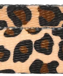 Frisco Leopard Print Polyester Dog Collar -Dog Cat Corner 213742 PT2. SY630 V1583359993