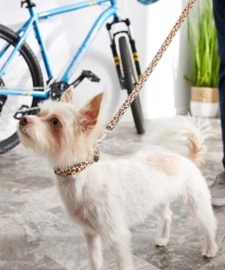 Frisco Leopard Print Polyester Dog Leash 9 Frisco Leopard Print Polyester Dog Leash -Dog Cat Corner 213759 PT4. SY630 V1628029580