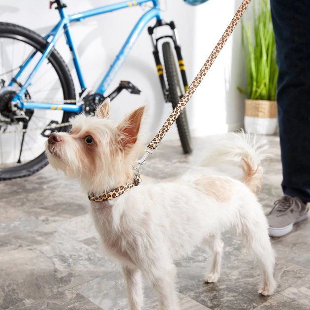 Frisco Leopard Print Polyester Dog Leash 6 Frisco Leopard Print Polyester Dog Leash - Image 4