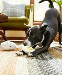 Frisco Plush Squeaking 2-in-1 Tearable Egg & Yolk Dog Toy 9 Frisco Plush Squeaking 2-in-1 Tearable Egg & Yolk Dog Toy -Dog Cat Corner 213789 PT8. SY630 V1600488482