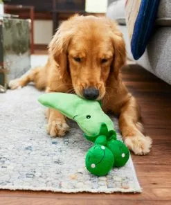 Frisco Plush Squeaking 2-in-1 Tearable Peapod & Peas Dog Toy 11 Frisco Plush Squeaking 2-in-1 Tearable Peapod & Peas Dog Toy -Dog Cat Corner 213791 PT8. SY630 V1600488484