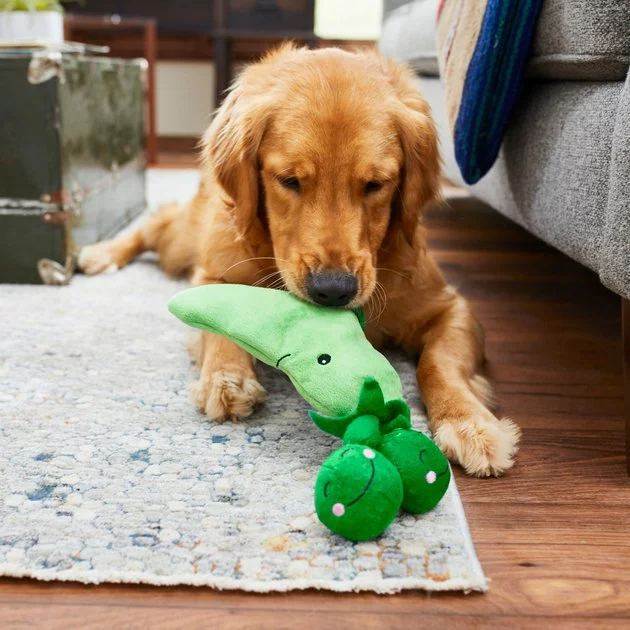 Frisco Plush Squeaking 2-in-1 Tearable Peapod & Peas Dog Toy 7 Frisco Plush Squeaking 2-in-1 Tearable Peapod & Peas Dog Toy - Image 5