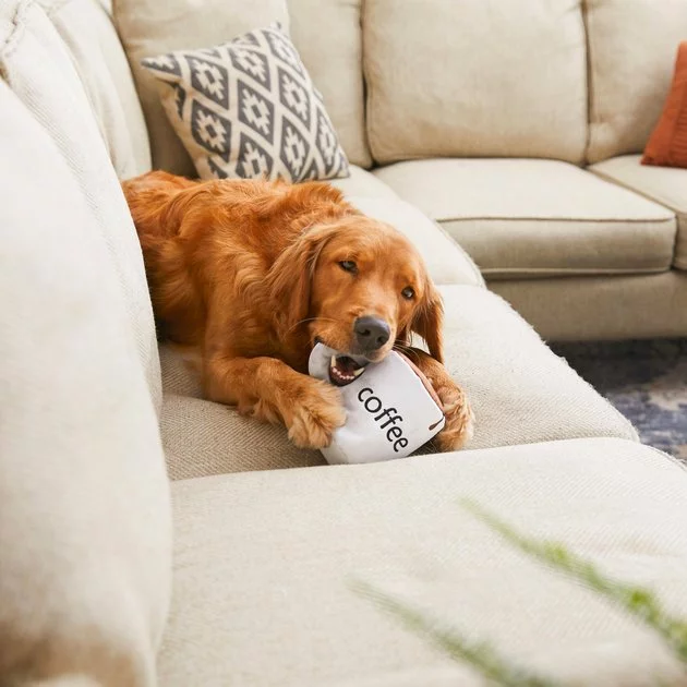 Frisco Ballistic Nylon Plush Squeaking Coffee Mug Dog Toy 7 Frisco Ballistic Nylon Plush Squeaking Coffee Mug Dog Toy - Image 5