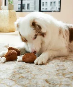 Frisco Hide & Seek Plush Chicken & Waffle Puzzle Dog Toy Refills, 3-Pack -Dog Cat Corner 213800 PT8. SY630 V1600488419