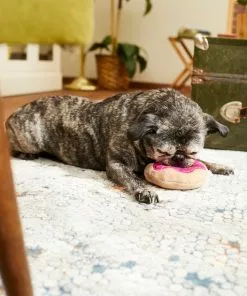 Frisco Strawberry Frosted Donut Dense Foam Squeaky Dog Toy -Dog Cat Corner 213804 PT8. SY630 V1600488492