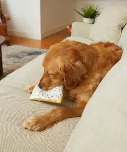 Frisco Frosted Pastry Plush Dog Toy 9 Frisco Frosted Pastry Plush Dog Toy -Dog Cat Corner 213812 PT8. SY630 V1600488502