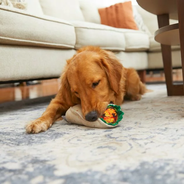 Frisco Plush Burrito Dog Toy 5 Frisco Plush Burrito Dog Toy - Image 3
