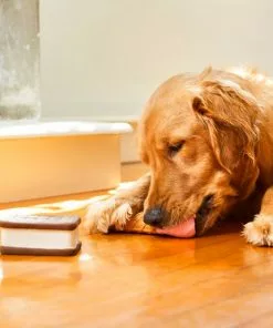 Frisco Ice Cream Sandwich & Ice Cream Cone Latex Dog Toy, 2-pack 7 Frisco Ice Cream Sandwich & Ice Cream Cone Latex Dog Toy, 2-pack -Dog Cat Corner 213840 PT8. SY630 V1600488499