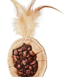 Frisco Bag-of-Coffee Beans Cat Toy with Catnip