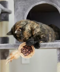 Frisco Bag-of-Coffee Beans Cat Toy with Catnip -Dog Cat Corner 213898 PT8. SY630 V1600488454