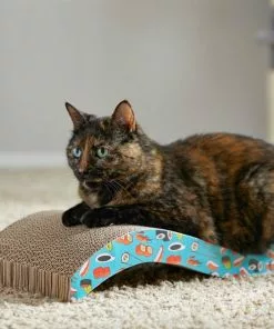 Frisco Sushi Delight Wave Cat Scratcher -Dog Cat Corner 213908 PT8. SY630 V1600488470
