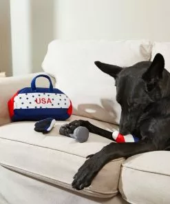 Frisco Hide-and-Seek USA Gym Bag Dog Toy 13 Frisco Hide-and-Seek USA Gym Bag Dog Toy -Dog Cat Corner 214078 PT6. SY630 V1597596406