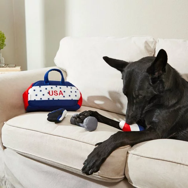 Frisco Hide-and-Seek USA Gym Bag Dog Toy 8 Frisco Hide-and-Seek USA Gym Bag Dog Toy - Image 6