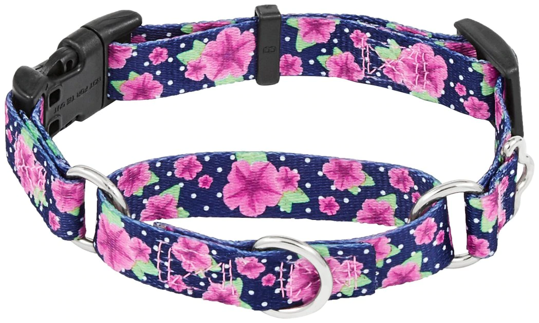 Frisco Patterned Polyester Martingale Dog Collar with Buckle 3 Frisco Patterned Polyester Martingale Dog Collar with Buckle