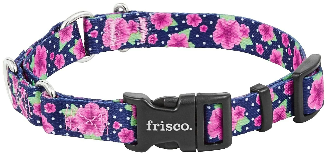 Frisco Patterned Polyester Martingale Dog Collar with Buckle 5 Frisco Patterned Polyester Martingale Dog Collar with Buckle - Image 3