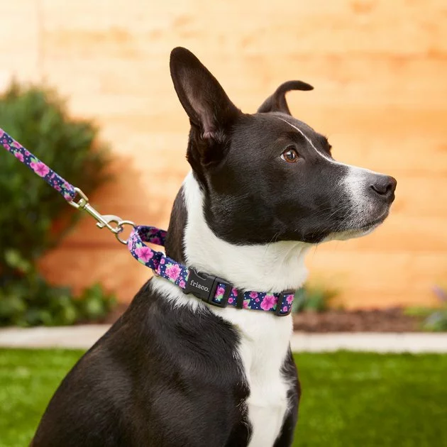 Frisco Patterned Polyester Martingale Dog Collar with Buckle 8 Frisco Patterned Polyester Martingale Dog Collar with Buckle - Image 6