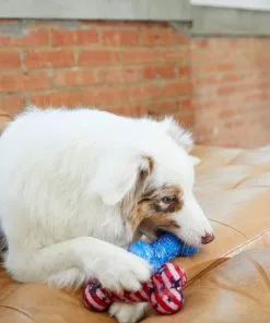 Frisco Americana TPR Bone Squeaky Dog Toy, 2 count -Dog Cat Corner 214651 PT6. SY630 V1597596450