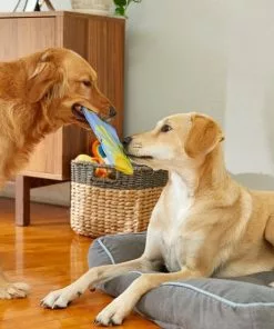 Frisco Summer Fun Ballistic Nylon Plush Surfboard Dog Toy -Dog Cat Corner 214665 PT6. SY630 V1597596443