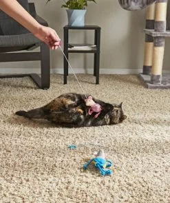 Frisco Summer Fun Bouncy Mouse Cat Toy, 2-pack -Dog Cat Corner 214671 PT6. SY630 V1597596511