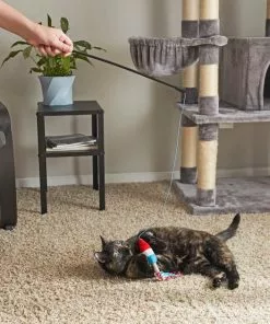 Frisco Americana Popsicle Teaser Cat Toy with Catnip -Dog Cat Corner 214837 PT6. SY630 V1597596377